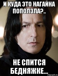 и куда это нагайна поползла?.. не спится бедняжке...