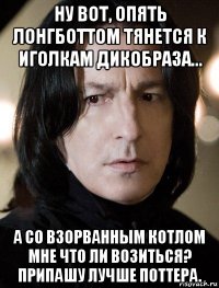 ну вот, опять лонгботтом тянется к иголкам дикобраза... а со взорванным котлом мне что ли возиться? припашу лучше поттера.