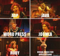 ASP JAVA WORD Press Joomla Ruby visual basic for applications