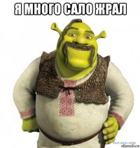 я много сало жрал 