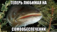 теперь любимая на сомообеспечении