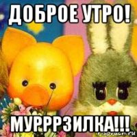 доброе утро! мурррзилка!!!