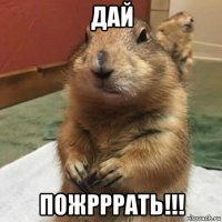 дай пожрррать!!!