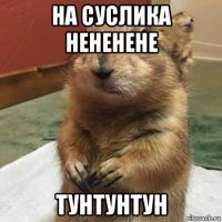 на суслика нененене тунтунтун