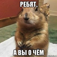 ребят, а вы о чём