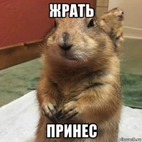 жрать принес