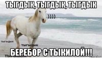 тыгдык, тыгдык, тыгдык беребор с тыкилой!!!