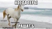 когда теры рашат б