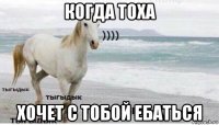 когда тоха хочет с тобой ебаться