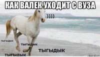 как валек уходит с вуза 