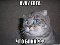 куку епта что блин???