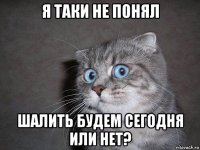 я таки не понял шалить будем сегодня или нет?