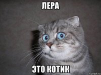 лера это котик