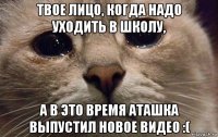 твое лицо, когда надо уходить в школу, а в это время аташка выпустил новое видео :(