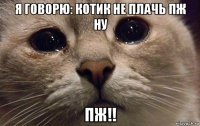 я говорю: котик не плачь пж ну пж!!