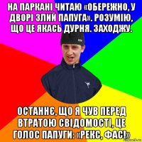 на паркані читаю «обережно, у дворі злий папуга». розумію, що це якась дурня. заходжу. останнє, що я чув перед втратою свідомості, це голос папуги: «рекс, фас!»