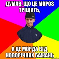 думав, що це мороз тріщить, а це морда від новорічних бажань