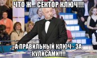 что ж... сектор ключ!!! а правильный ключ - за кулисами!!!!