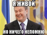 я живой но ничего непомню