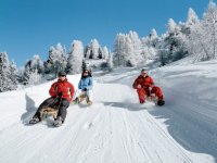 Создать мем 3 санки