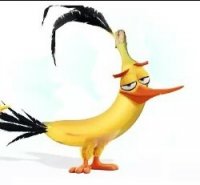 Создать мем Angry birds