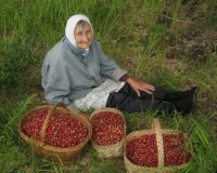 Создать мем Боярышник