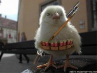 Создать мем Цыпа