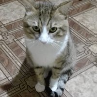 Создать мем Даже не вжухал