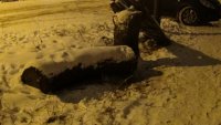 Создать мем ДРЕВО