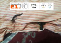 Создать мем Екнк