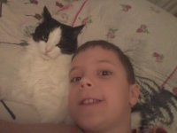 Создать мем Как кота бесит