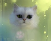 Создать мем Киса