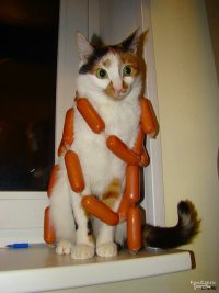 Создать мем Котэ