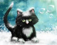 Создать мем Котейка