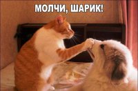 Создать мем Молчи шарик