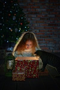 Создать мем НГ