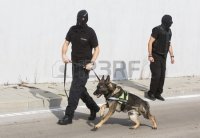 Создать мем Пес