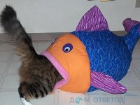 Создать мем Писос каг круто