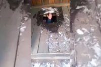 Создать мем Застрял
