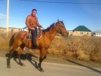 Создать мем Жасулан Култенов