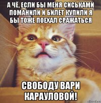 а чё, если бы меня сиськами поманили и билет купили я бы тоже поехал сражаться свободу вари карауловой!