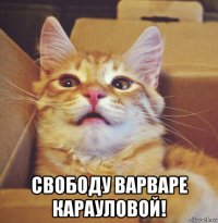  свободу варваре карауловой!