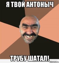 я твой антоныч трубу шатал!