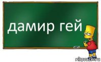 дамир гей