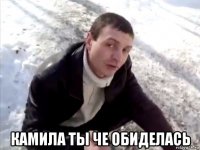  камила ты че обиделась