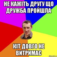 не кажіть другу що дружба пройшла кіт довго не витримає