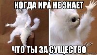 когда ира не знает что ты за существо