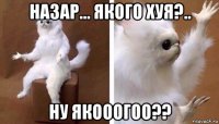 назар... якого хуя?.. ну якооогоо??