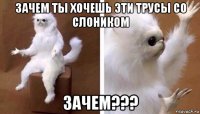 зачем ты хочешь эти трусы со слоником зачем???