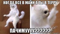 когда все в майн а ты в терру пачимуууу??????